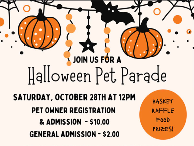 Halloween Pet Parade Throop DiscoverNEPA