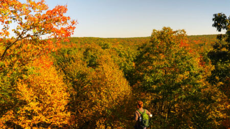 A hiker views fall foliage at an overlook at Natural Lands bear Creek Preserve in Bear creek, PA.