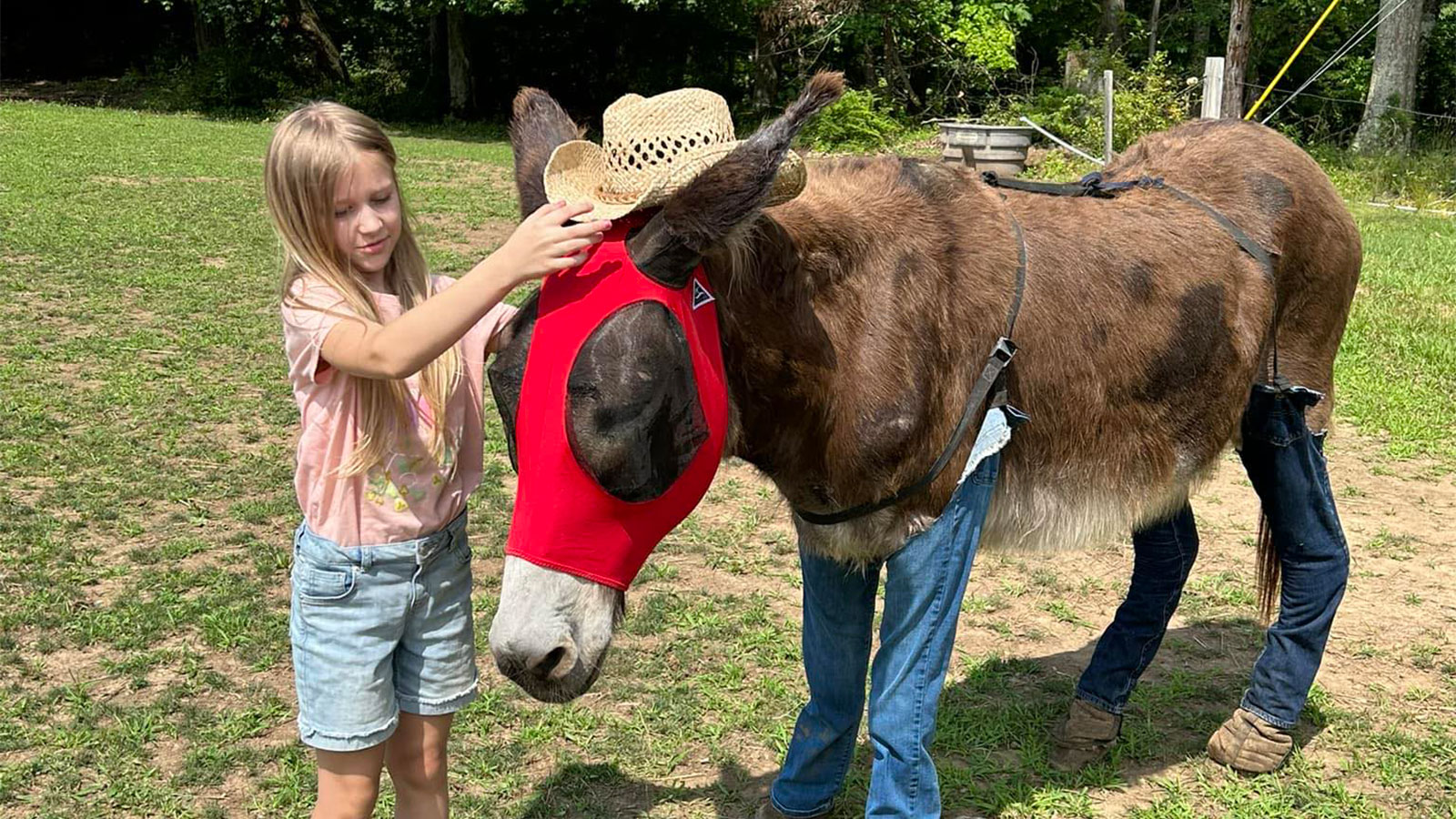 Happy Tales Farm image