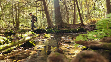 A man hikes along a trail in a lush green forest, stepping across a shallow stream at the Natural Lands' Bear Creek Preserve in Bear Creek, PA.