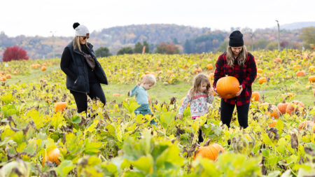 Family exploring a pumpkin patch at Roba Family Farms, a top fall festival and popular thing to do in Northeastern PA, located in North Abington Twp., PA.