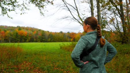 Meadow Trail at Salt Springs State Park image