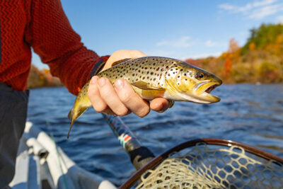 Mentored Youth Trout Day 2024 - DiscoverNEPA