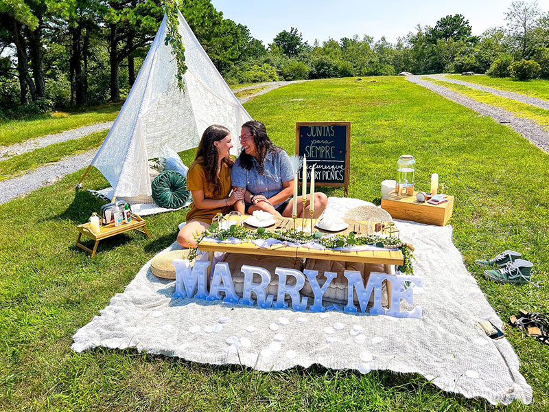 Picturesque Luxury Picnics image
