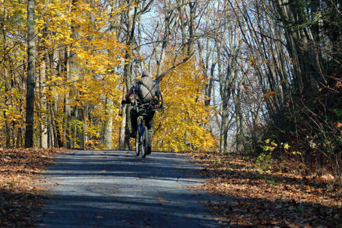 A hunter with a cross bow on his back rides a bike at Swatara State Park in Pine Grove, PA.