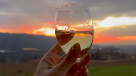 Lighting of the Vineyard at Benigna’s Creek image