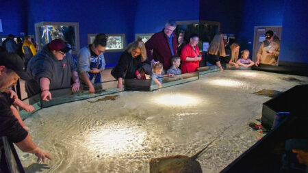 A group of people reaching into the sting ray touch-tank at the Electric City Aquarium in Scranton, a popular family fun destination in NEPA.