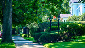 Tree-line street in West Pittston, PA. Housing options in Northeastern PA.