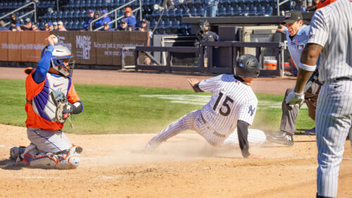 RailRiders Baseball image