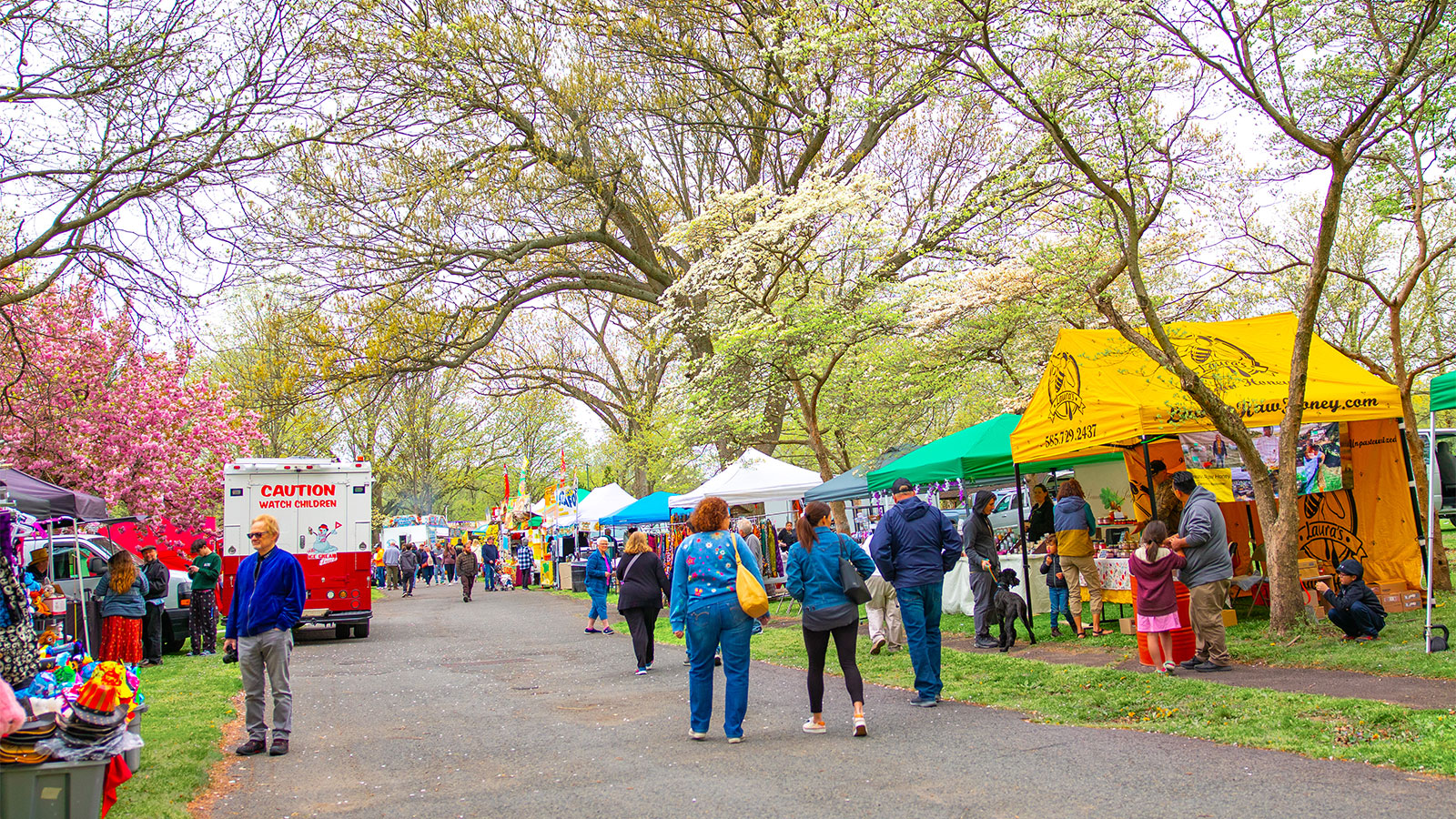 Picture This: Wilkes-barre's 56th Annual Cherry Blossom Festival 