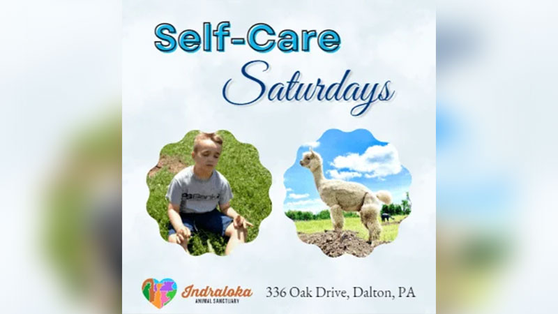 Flyer for Self-Care Saturdays featuring photos of a child outdoors and an alpaca, with location details for the animal care camp in Dalton, PA.