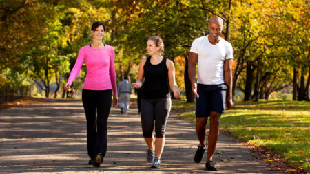 A group of three friends, two women and a man, go for a walk together in the park during the summer.