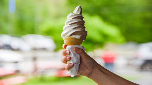 NEPA Ice Cream List image