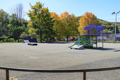 Willing Park Skate Park image