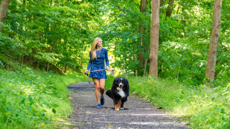 A girl walking her dog on the trail path at the Back Mountain Trail in Dallas, PA.