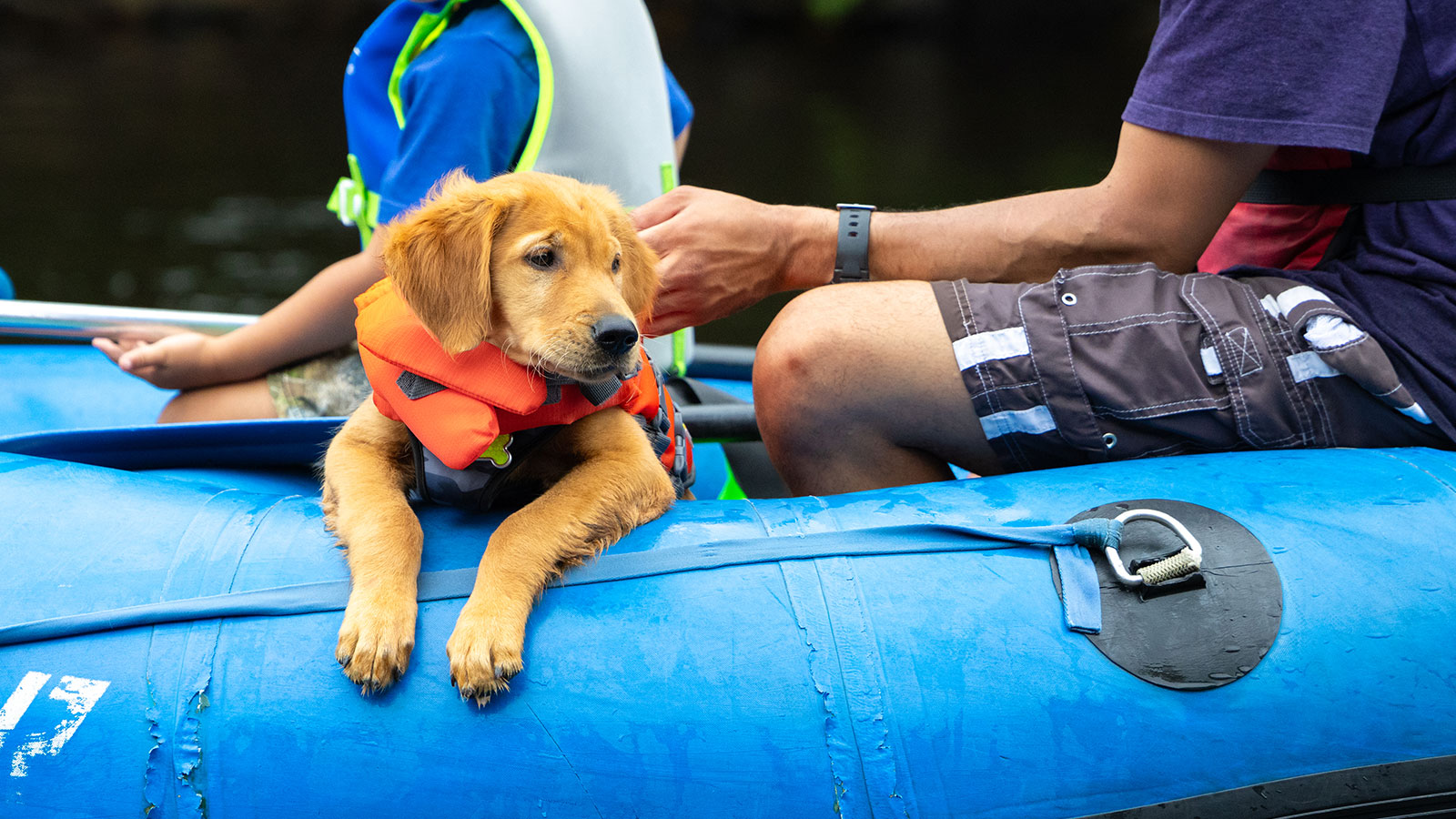 Photos This Week: July 10-16, 2024 image