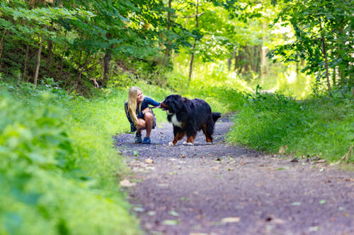 Back Mountain Trail image