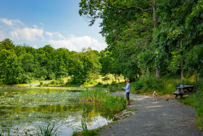 Man and his dog fishing from the short of the lake at Nescopeck State Park in Drums, PA.