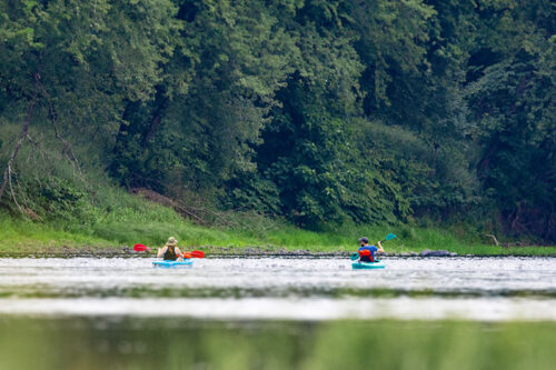 A pair of kayakers paddles down the Delaware River on a sunny day in Lehman Twp., PA..