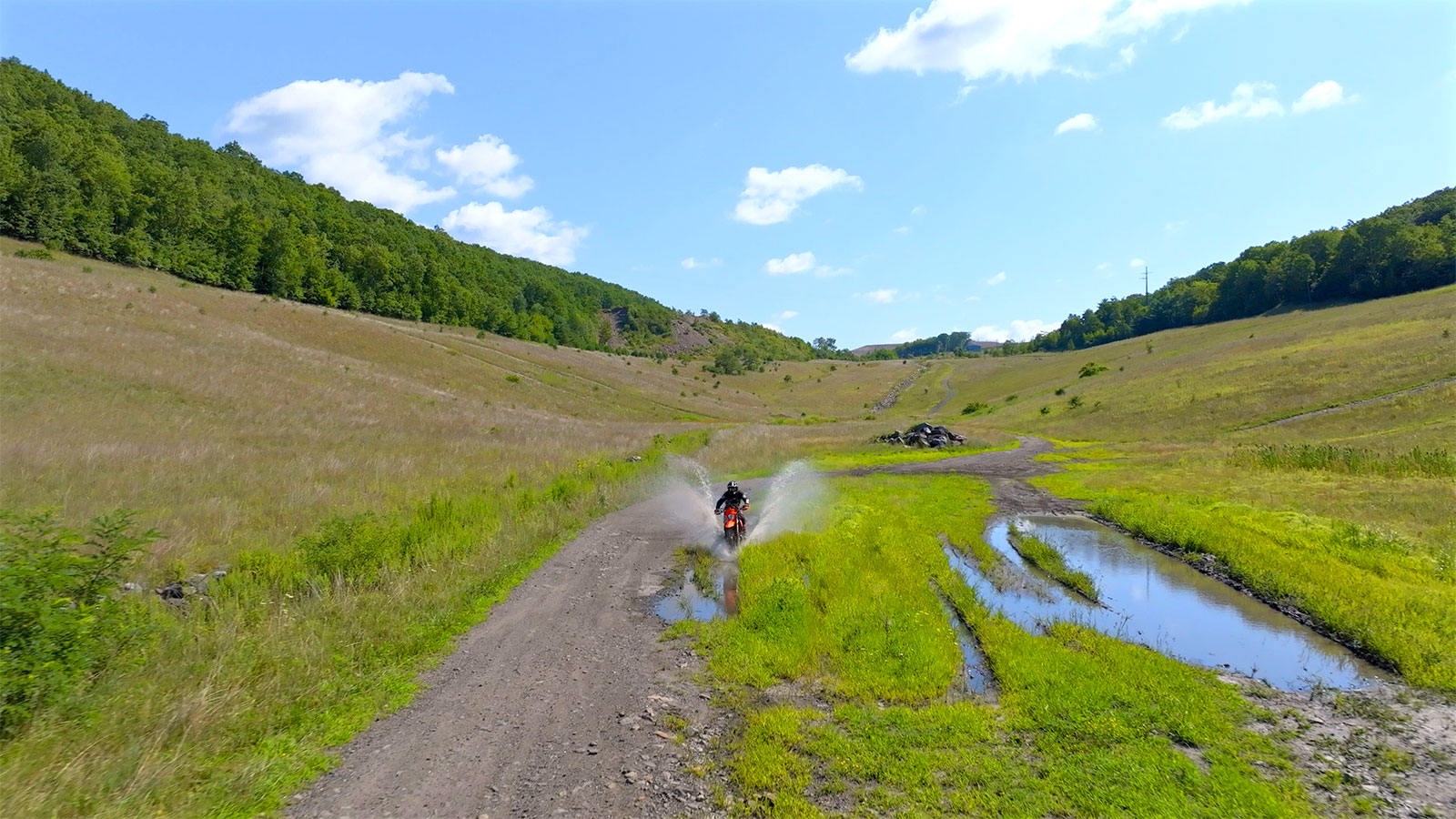 Photos This Week: August 7-13, 2024 image