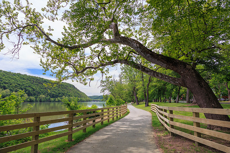Bloomsburg Area Recreational Trail image