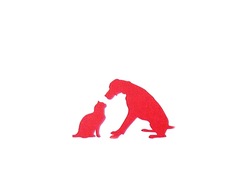 St. Cats & Dogs Inc. image