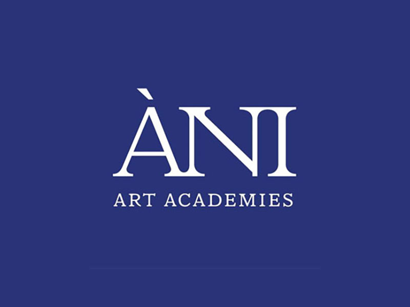 ÀNI Art Academies image