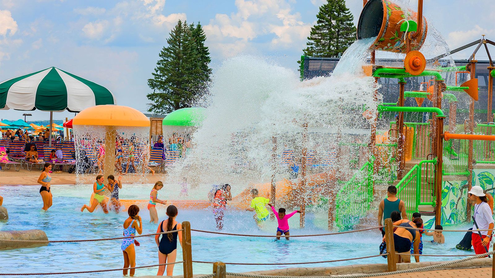 Picture This: 2024 Summer Season Wrap-up image