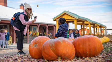 A mom taking a photo of her son sitting on the large pumpkins at Roba Family Farms in North Abington Twp., Pa.