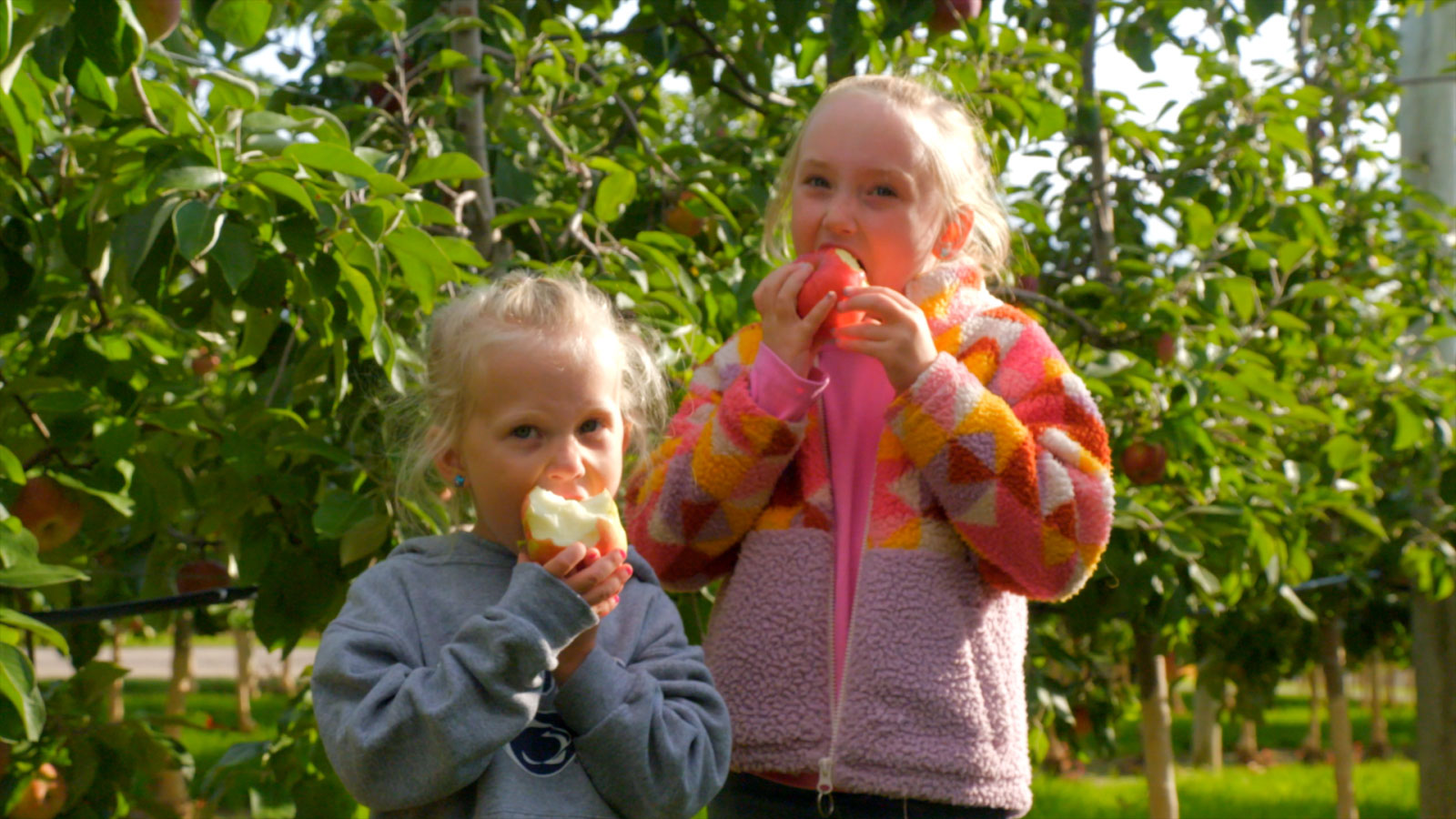 Fall Fun in NEPA Image