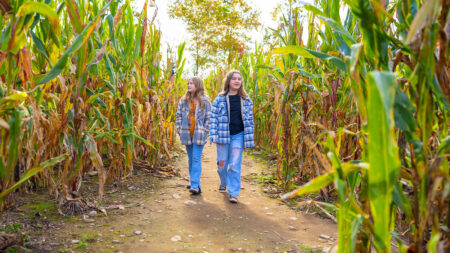 Find Your Way Through NEPA’s Corn Mazes This Autumn image