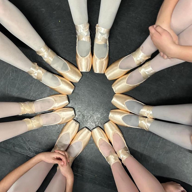 Linn McDonald School of Dance image