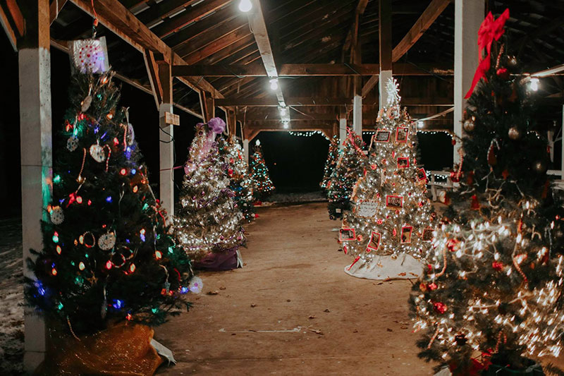 Christmas trees adorned with lights and decorations on display under a wooden pavilion. 