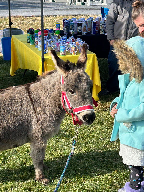 A littel girl greets a donkey at Explore Schuylkill Holiday at Pioneer Evergreen Farms. 