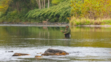 Fisherman in the Lackawaxen River near the Hawley Trail in Hawley, PA.