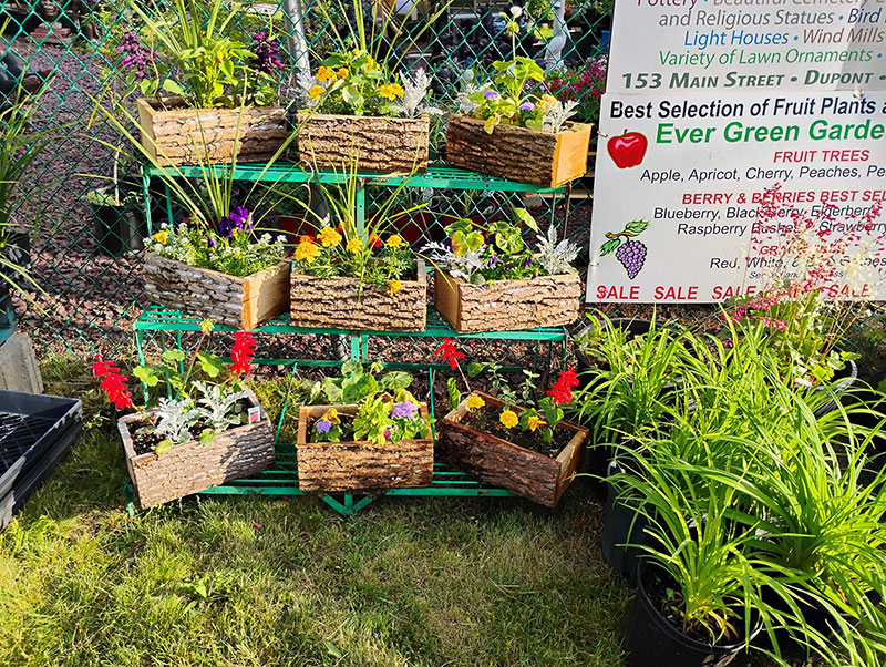 Ever Green Garden Center image