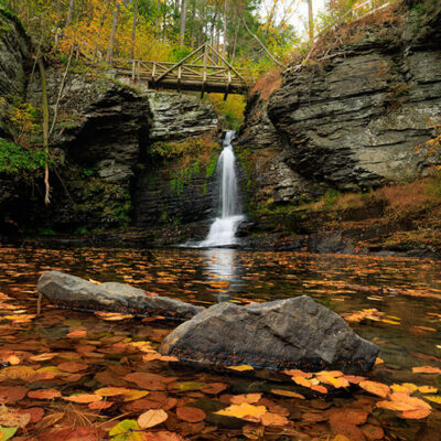 George W. Childs Park image