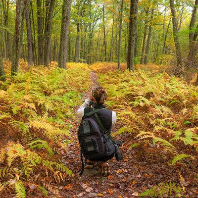 Cornelia & Florence Bridge Preserve image