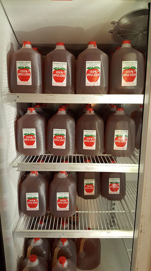 Gallons of orchard-fresh apple cider at Ostrander’s Orchard in Beach Lake, PA.