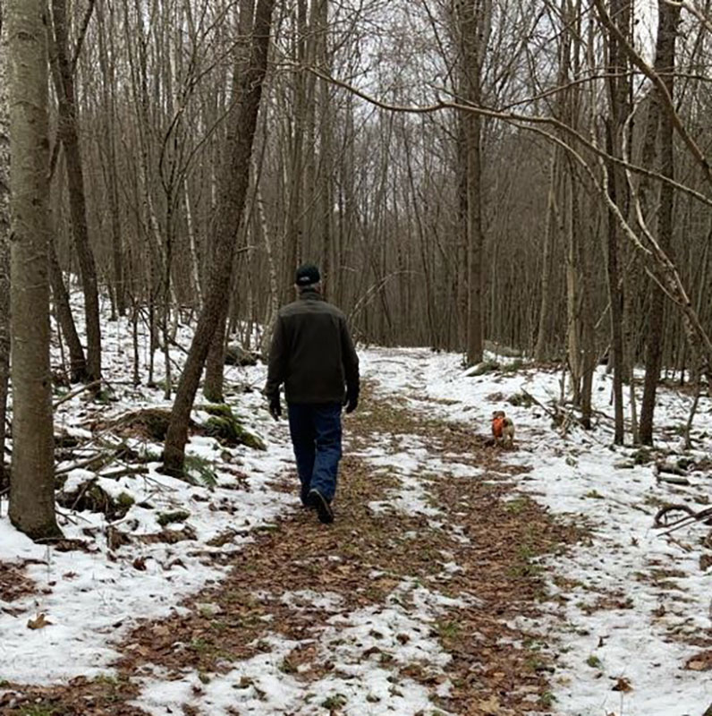 A man and his dog walk along a trail through snow-covered woods. 