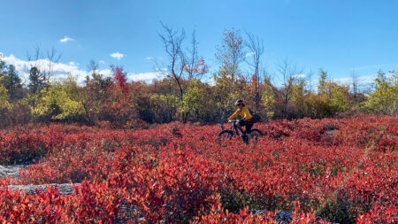 Ana rides her mountain bike along Conglomerate Trail blazed in red and orange bushes.
