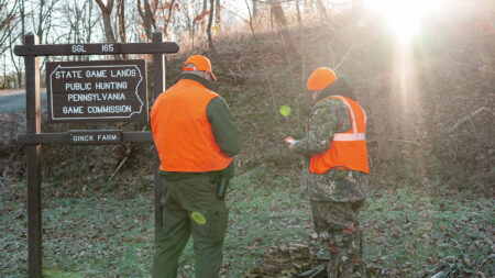 Be Safe Out There: Safety While Afield image