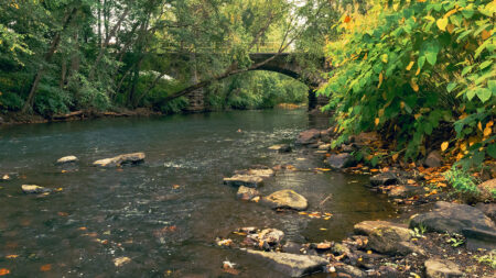 A view from the Schuylkill River toward an old stone bridge at Schuylkill Haven Island Park in Schuylkill Haven, PA.