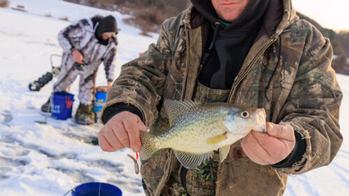 A proud fisherman shows off his catch during an ice fishing excursion on the frozen lake at Frances Slocum State park in Wyoming, PA.
