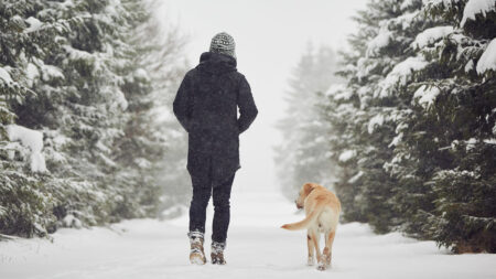 Stock image of the backside of a woman walking down snow-covered trail with golden retriever