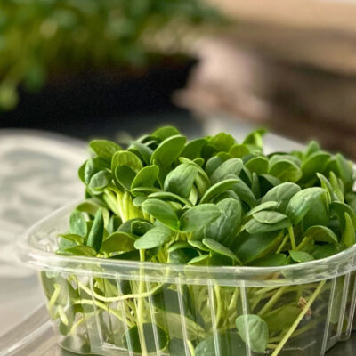 Back Mountain Microgreens image