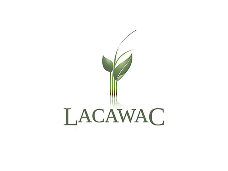 Lacawac Sanctuary Foundation image