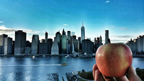 A man takes in the view of the New York City skyline in Manhattan.