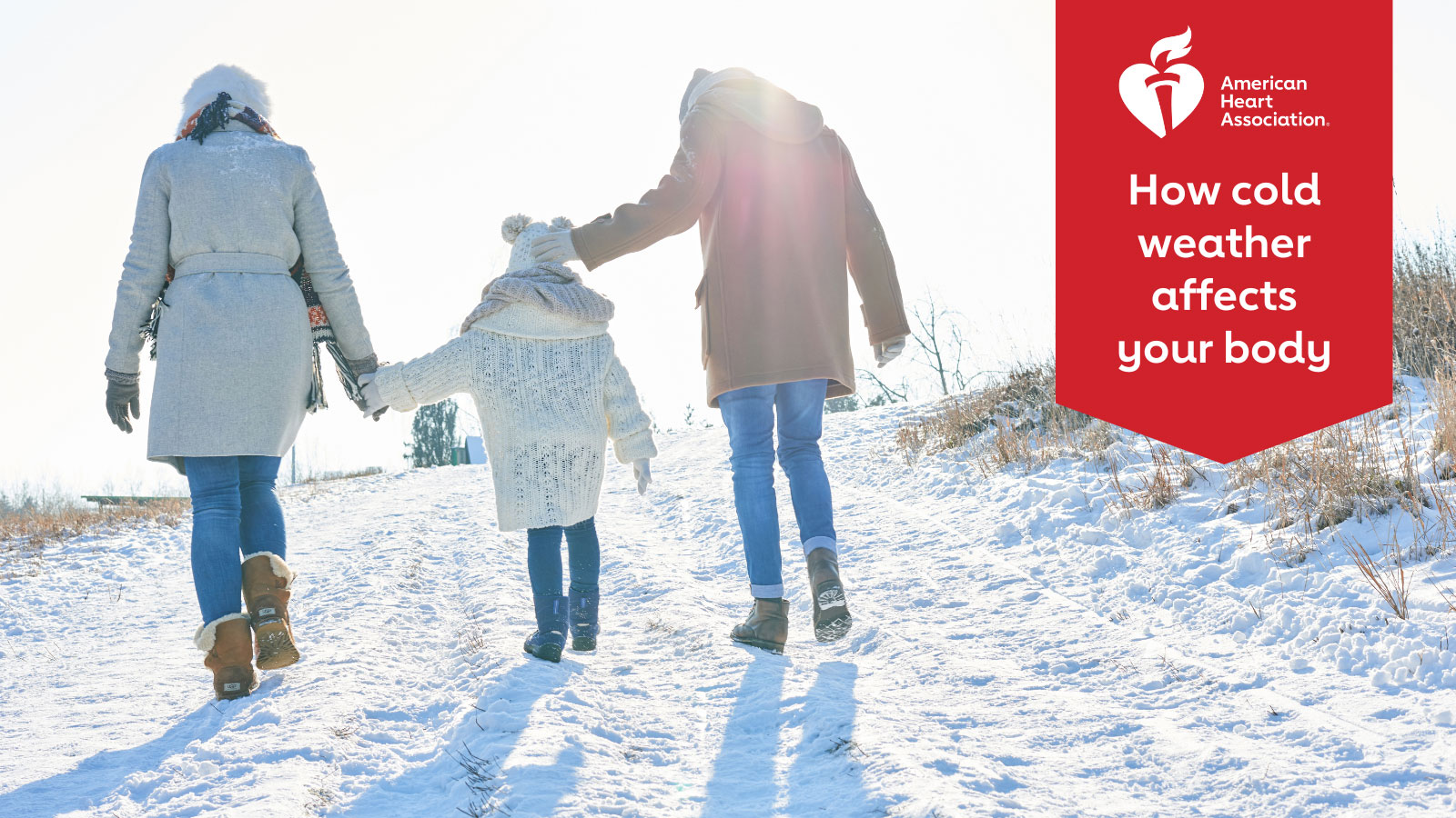 What Cold Weather Does to the Body and How to Protect Yourself this Winter image