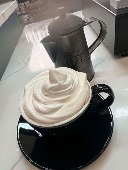 A cup of hot chocolate with whipped cream at Northern Light Espresso Bar & Cafe in Scranton, PA.